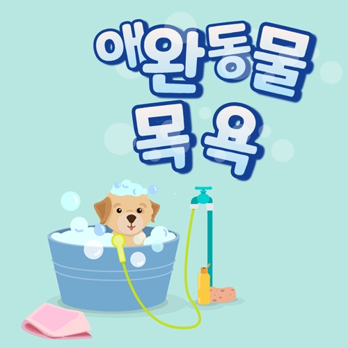 중간 크기 이미지