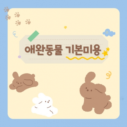 중간 크기 이미지