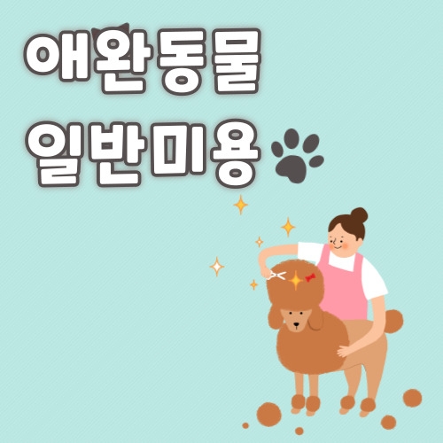 중간 크기 이미지