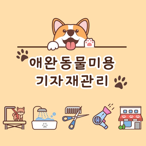 중간 크기 이미지