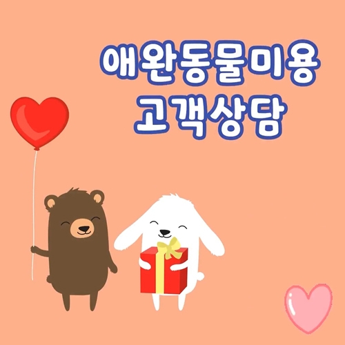 중간 크기 이미지