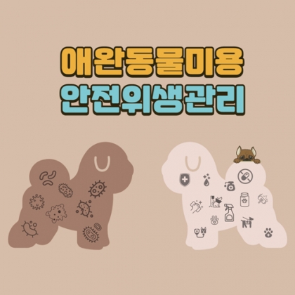 중간 크기 이미지